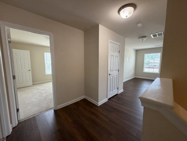 Gallery Photo 15